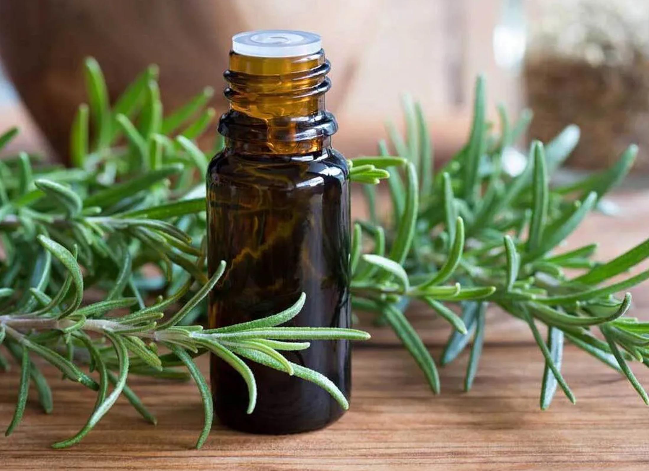 خواص روغن رزماری برای مو