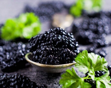 خواص خاویار برای پوست