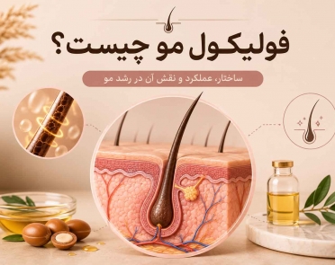 فولیکول مو چیست
